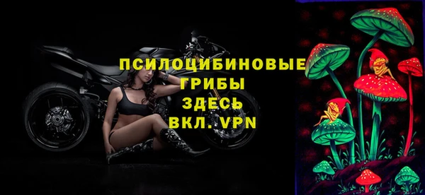 mdpv Дмитриев