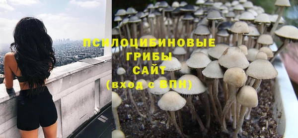 стаф Новокубанск