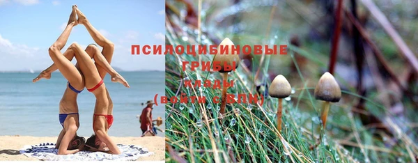 экстази Новозыбков