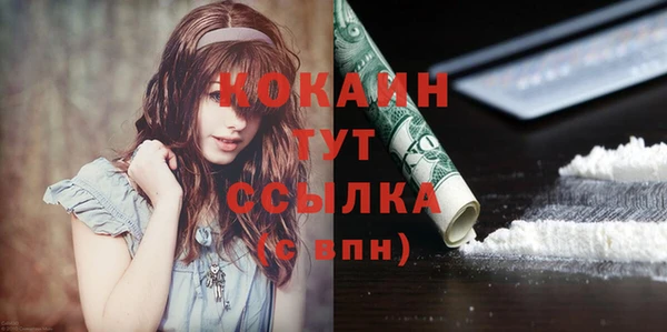 spice Новодвинск