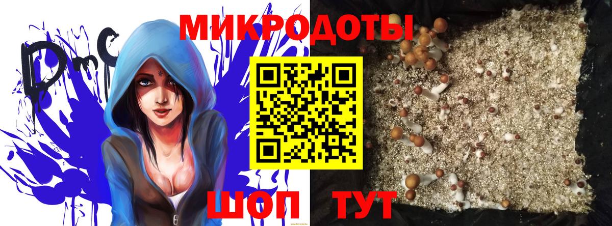 Хабаровск  Псилоцибиновые грибы мицелий  Вход с VPN 
